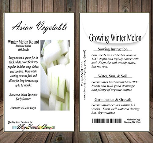 Big Pack - (100) Winter Melon Round, Wax Gourd Seeds - Tong Qwa - Used In Asian Soup Dishes - Non-Gmo Seeds By Myseeds.co (Big Pack - Wax Gourd) #TOP4