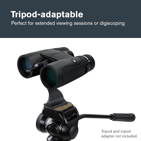 Celestron - Nature DX 10x42 Binoculars Ideal for Birding and Outdoors 42mm Objective Lenses 5.8 Field of View BaK-4 Prisms Fully Multi-Coated Waterproof and Fogproof