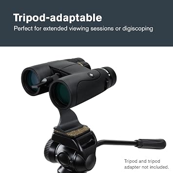 Celestron - Nature DX 10x42 Binoculars Ideal for Birding and Outdoors 42mm Objective Lenses 5.8 Field of View BaK-4 Prisms Fully Multi-Coated Waterproof and Fogproof