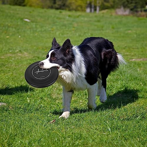 Ybsutools The Competition Dog Disc Is 8.75 Inches, Safe And Does Not Hurt The Gums, Best For Flight, Puncture Resistance, Dog Disc, Suitable For Small And Medium-Sized Dogs And Puppies, Orange #TOP2