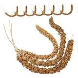 HEMOTON Natürliche Vogelfutter Mischung für Papageien Sittiche Trockenhirse Gesundes Kauspielzeug...