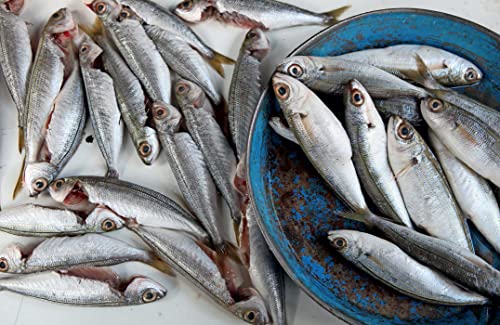 Forever Beirut: Recipes and Stories from the Heart of Lebanon