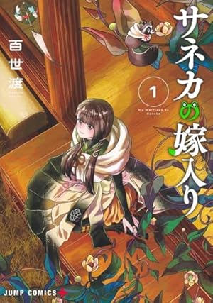氷の城壁 14 (ジャンプコミックス) | 阿賀沢 紅茶 |本 | 通販