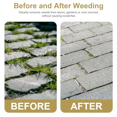 Donlala Gloria Multibrush Fugenbürste, 4er-Set, kompatibel mit Gloria Multibrush und Weedbrush, Gartenfugenbürste, Fugenkratzer 10 cm Durchmesser - Hochwertige Messingbürste