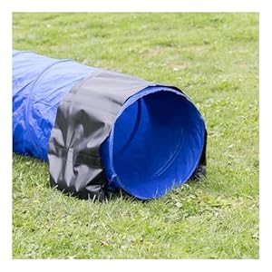 TRIXIE Dog Agility Tunnel– Dog Tunnel for Small Dogs or Cats Agility Training, Portable Dog Tunnel 78.7 in Long & 15.7 in Diameter, Dog Agility Equipment for Beginners & Advanced