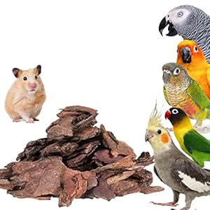 Congo 300gm Neem Chewing Bark for Budgies, Lovebirds, Cockatiels, Conure, Amazon, African Grey and Other Small Pets, 300gm