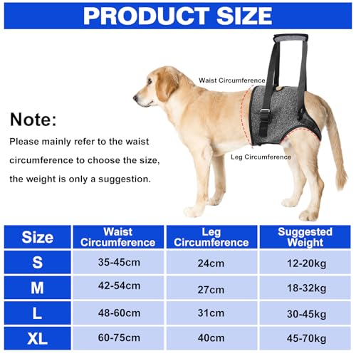 Tragehilfe Hund Hundehebegeschirr Tragegeschirr Hundeschlinge: Hundestützgeschirr Für Die Hinterbeine Mit Handgriff, Verstellbare Gehhilfe Für Verletzte Behinderte Kleine Mittlere Große Hunde (L)