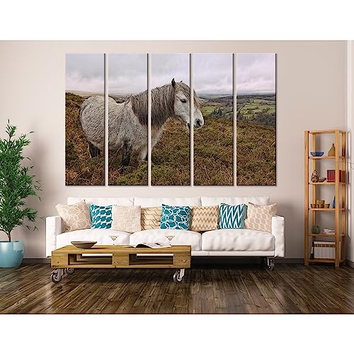 Cuadro Dartmoor Pony Landscape №04250 para decorar paredes de dormitorios de matrimonio