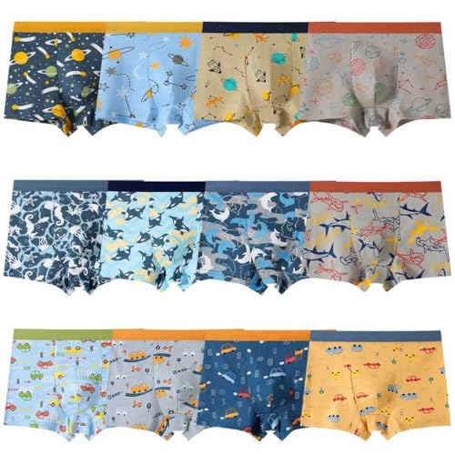 Lohhbve Lot de 12 Boxers pour garçons avec Motif Dinosaures pour bébés et Enfants de 2 à 12 Ans, sous-vêtements pour Tout-Petits, Culottes Souples pour garçons