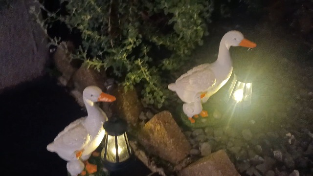 Estatua decorativa de pato con farol solar para jardín miniatura 7