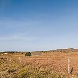 track & field nes rom  Field of Dreams