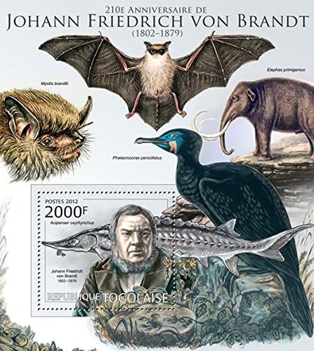 Guinee 2012 Johan Friedrich Von Brandt Stamp M/S MNH