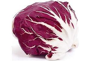 Palla Rosa Radicchio Seeds: Vibrant Color and Rich Flavor