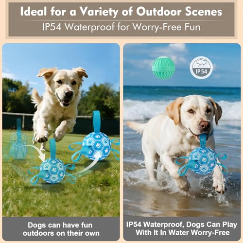 Image of Interactive Dog Toys Dog Soccer Ball to Keep Them Busy,Durable Automatic Moving Jumping Dog Balls with Straps for Small /Medium /Large Dogs, USB Rechargeable,Not for Aggressive Chewers (Blue)