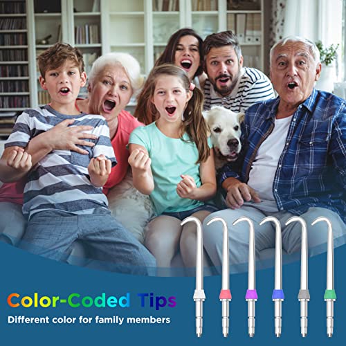 Image of Replacement Heads for Waterpik Water Flosser (6 Implat Denture Tips)