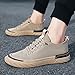 EU 43 Zapatos Casuales Alpargatas Hombre Verano Zapatos Deportivos Primavera y Verano para Hombre Imagen de EU 43 Zapatos Casuales Alpargatas Hombre Verano Zapatos Deportivos Primavera y Verano para Hombre