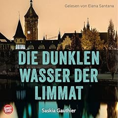 Die dunklen Wasser der Limmat Titelbild
