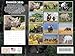 Rhino Calendar 2026 Rhinoceros Monthly Wall Calender 12 Month | American Made In The USA
