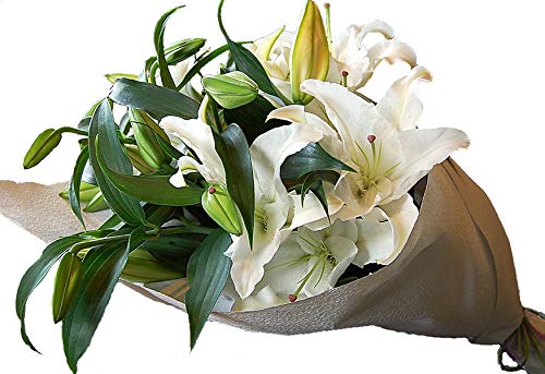 生花 カサブランカ 花束 白の人気商品 通販 価格比較 価格 Com