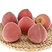 Gresorth 6pcs Artificial Peach Fake Fruit Decoration Lifelike Food Toy Realistic Home Party Decorative Model Props