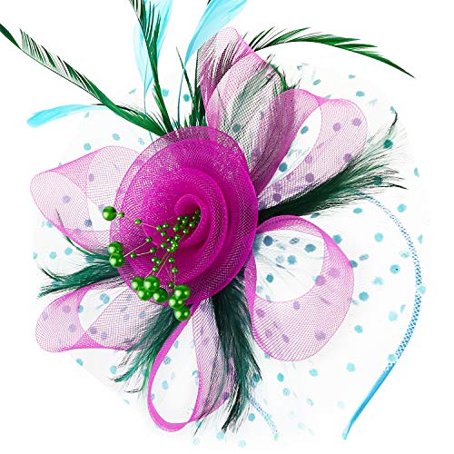 Image of DRESHOW Fascinators Hat Flower Mesh Ribbons Feathers on a Headband and a Clip Tea Party Headwear for Girls and Women