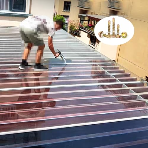 Toiture en panneaux de polycarbonate pour abri de jardin et protection de terrasse - 2