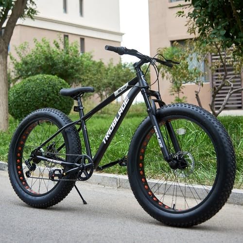 LSBIKE 26 Zoll Erwachsene Mountainbike,Männer und Frauen 7-Gang MTB Fahrräder, 26*4 Zoll Dicke Reifen Bike,Frontfederung und Doppelscheibenbremsen,Schwere Erwachsene Fahrrad, 90% Vorgeladen（Schwarz）