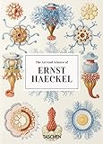 ernst haeckel evolutionstheorie  The Art and Science of Ernst Haeckel. 40th Anniversary Edition