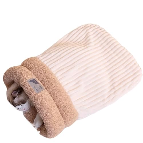 pxbh 􂦂  xbh ~ LA^AqɂœKӂ탂R Lkɕx񂾒gxbhA (ItzCg,M)