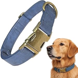 PU Leather Dog Collar – Durable Faux Leather Dog Collar for Small Medium Large Dogs, Adjustable Pet Collar with Metal Buckle (Blue, L)