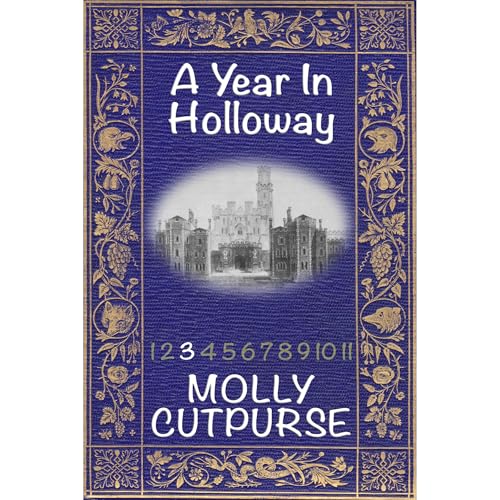 A Year In Holloway Audiolibro Por Molly Cutpurse arte de portada