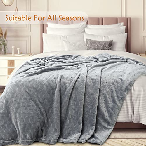 Toonow Fleece Blanket Super Soft Cozy Throw Blanket 50" X 60", Lightweight Fuzzy Comfy Textured Flannel Blanket Warm Plush Throw Blankets For Couch, Sofa, Bed, Light Grey #TOP2