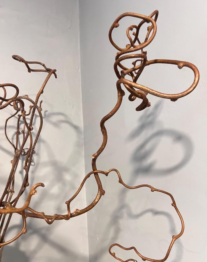 Dried Real Kiwi Vine Branches - 36" Natural Decorative Twigs for Floor Vases & Floral Arrangements - Boho Home Decor Centerpiece