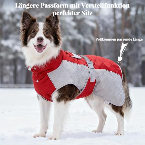 BECROWM Hundemantel mit, Winddicht und wasserdicht, verdickter Kragen für Windschutz, verstellbare Schnalle, Winterjacke Hunde (Rot/Grau, L (63,5-73,7 cm))