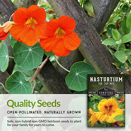 Survival Garden Seeds - Tip Top Mix Nasturtium Seeds - 2 Packs With Instructions To Plant And Grow Edible Flowers & Companion Plants In Your Home Vegetable Garden - Non-Gmo Heirloom Variety #TOP6