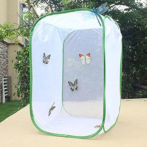 Kisbeibi Jaula de insectos plegable y resistente Cover