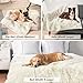 PetAmi Waterproof Dog Blanket for Large Dog, Calming Pet Blanket Bed Couch Cover Protector, Washable Sherpa Faux Fur Throw for Sofa Furniture Protection, Soft Fluffy 60x80 Cream Beige
