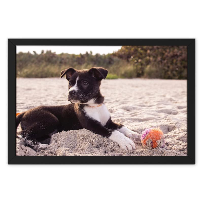 Ritwika's Customised Photo Frame With Your Picture | Personalised Gift For Anniversary, Birthday, Wedding, Couples | Available in Two Sizes (13.5" x 19.5" and 13.5" x 9.5") and Colours-image-15