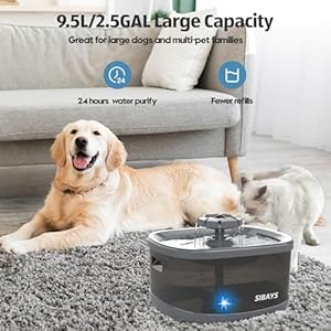 Sibays 2 5gal9 5l dog water fountain for large dogs 3 flow modes large pet water fountain for cats automatic dog water bowl dispenser with 7 large filter  smart led pump quiet bpa free material   cucciolini doodles