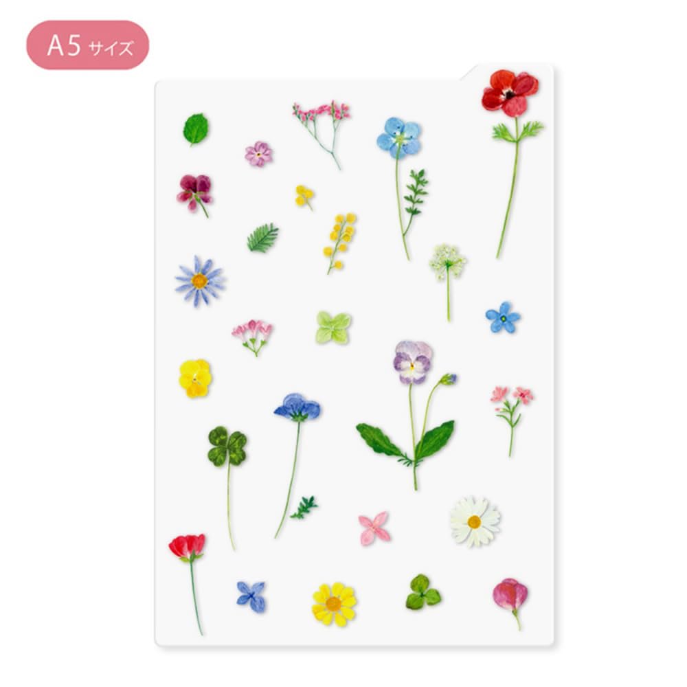 Amazon.co.jp: 下じき A5サイズ インデックス付き【草木花・ガーデン