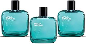 Wild Stone Edge Perfume For Men, Pack of 3 (100 ml each)