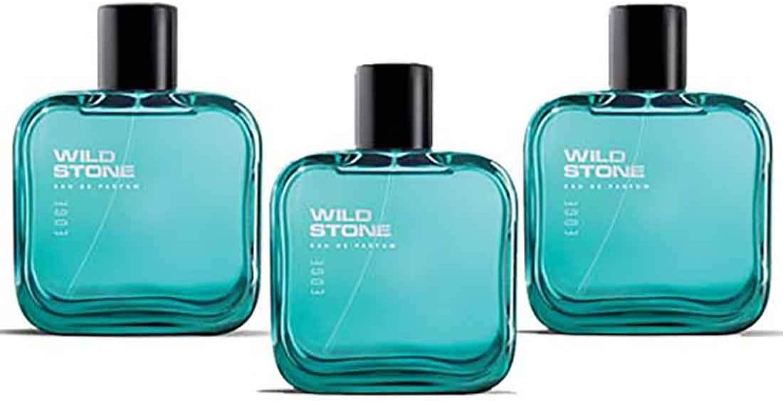 Wild Stone Edge Perfume For Men, Pack of 3 (100 ml each)