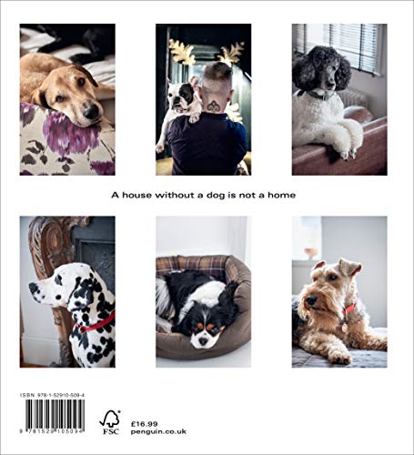 Dogs at Home