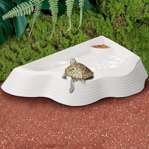 Décoration d'aquarium et piscine pour gecko et serpent - 3