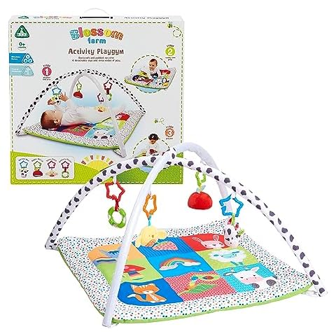 Early Learning Centre Blossom Farm Playmat & Arch, Physical Development, Hand Eye Coordination, Stimulates Senses Cover