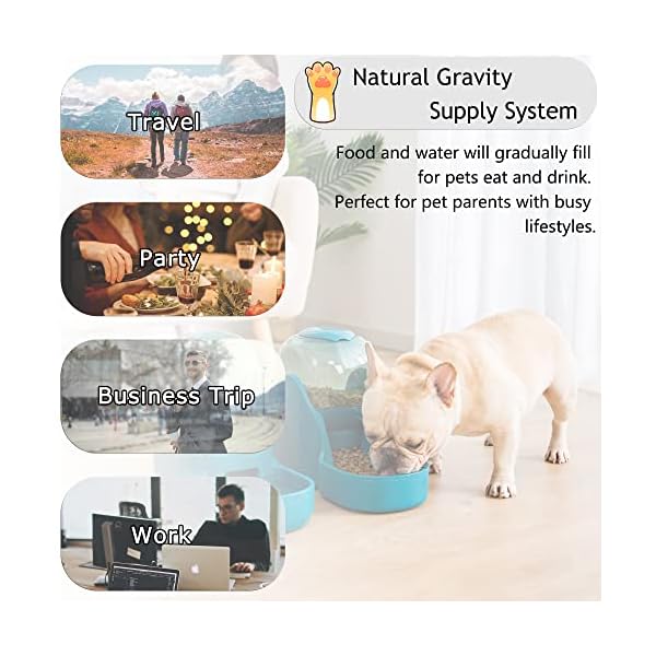 Automatic-Cat-Feeders-Set-Dog-Feeder-Set-with-Cat-Food-Dispenser-and-Cat-Water-Dispenser-Big-Capacity-Automatic-Gravity-Dog-Feeding-Watering-Supplies-for-Small-Medium-Big-Cats-Dogs Big Capacity Automatic Dog Feeder Set