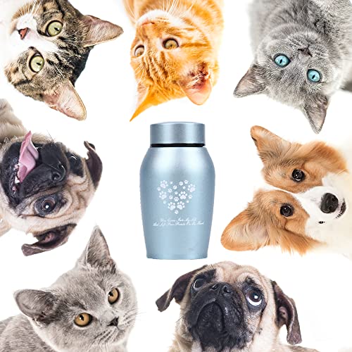 Urnen für die Einäscherung von Haustieren, Urnen für Hunde- und Katzenasche (Blau, klein)