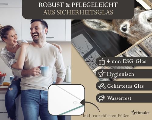 Herdabdeckplatte 60x52 cm ESG Glas | Lustiger Esel im Stall Bauernhof | Herd Abdeckung für Ceranfeld Schneidebrett Glasplatte Induktion