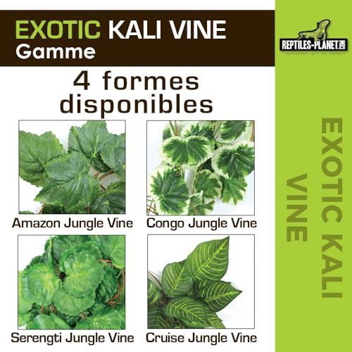 Reptiles Planet - Exotic Kali Vine - Stoffpflanze - Dekoration für Terrarium - 2,6 m