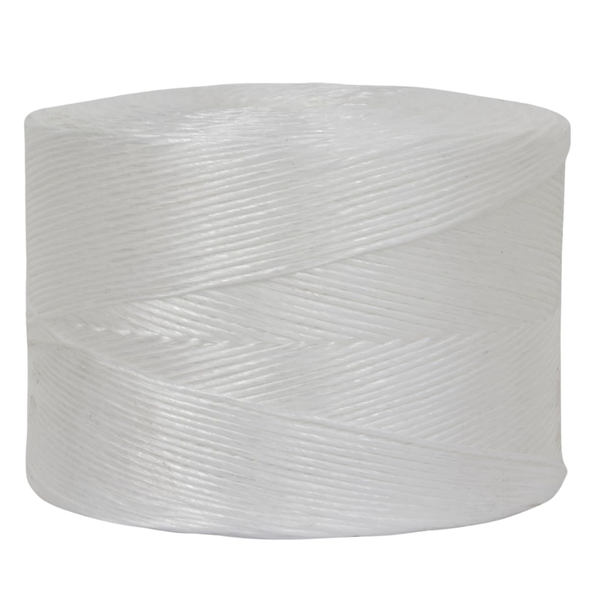 Corderie Italiane 2012221-00 Cordeles Rafia, 2 Kg, White, color: blanco
